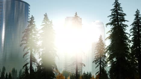 Wolkenkratzer-Bei-Sonnenuntergang-Und-Parkbäume